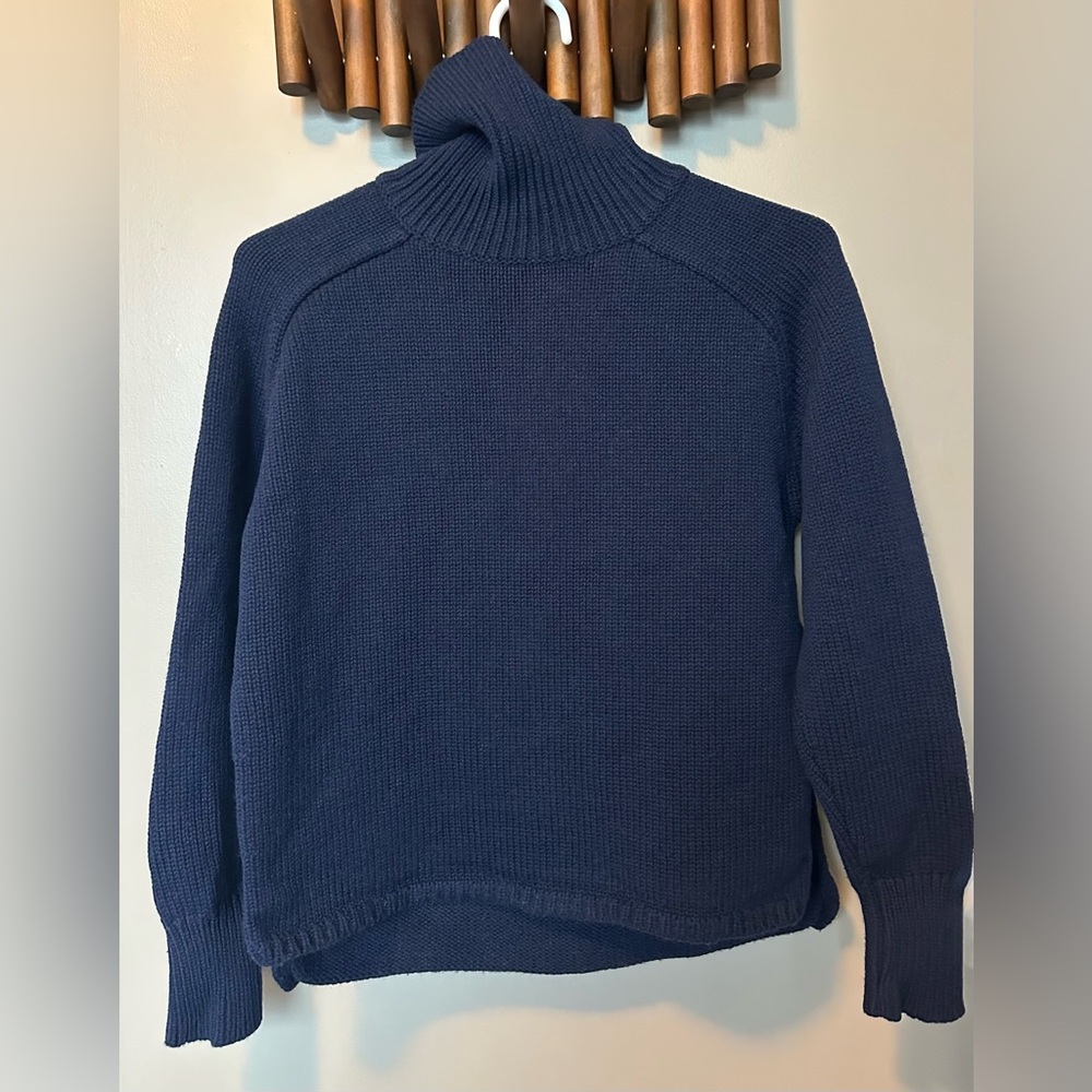 Aritzia Wool Turtleneck Sweater